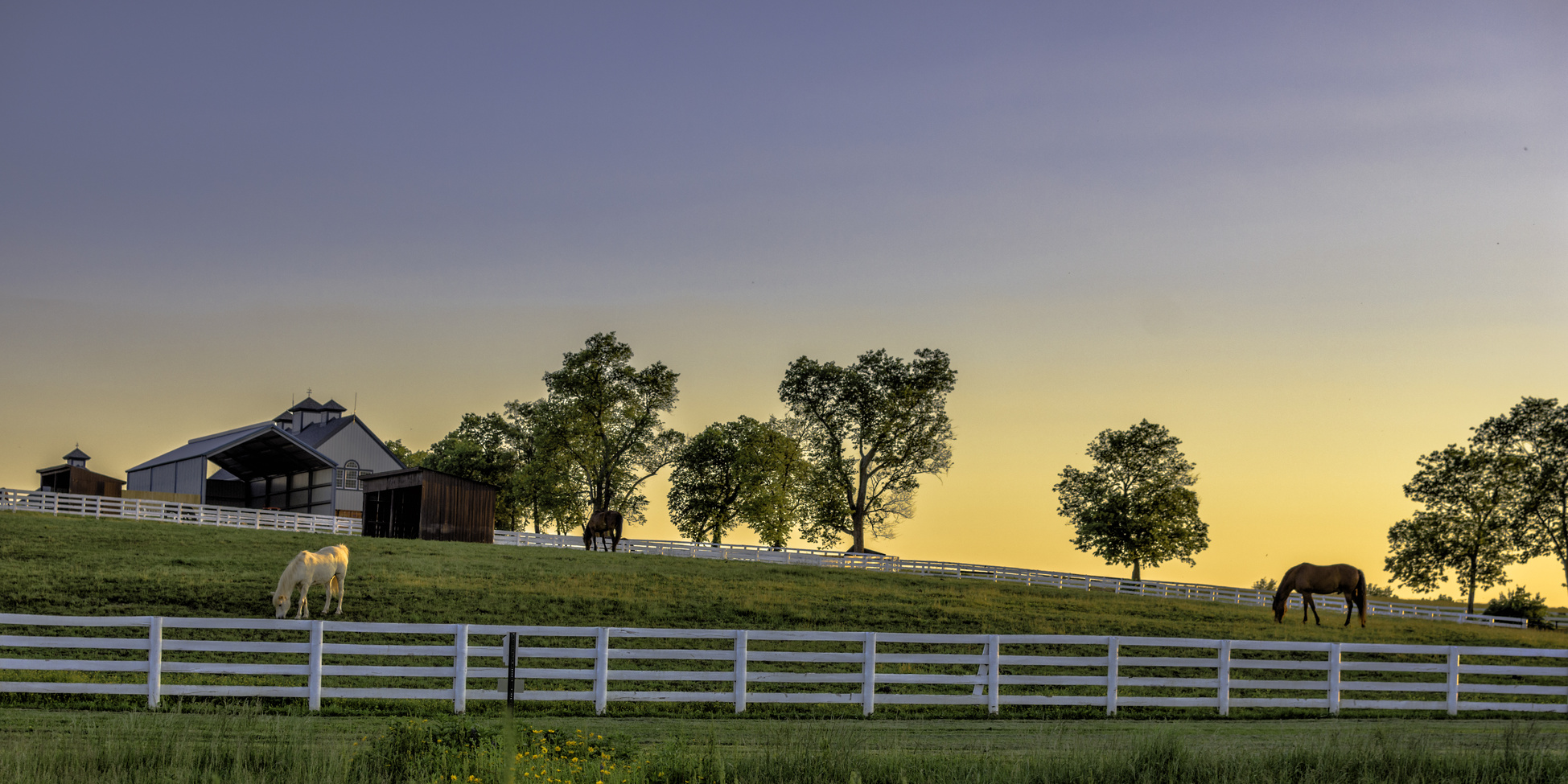 kentucky farm at sunrise