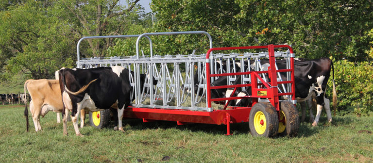 show cattle feeder