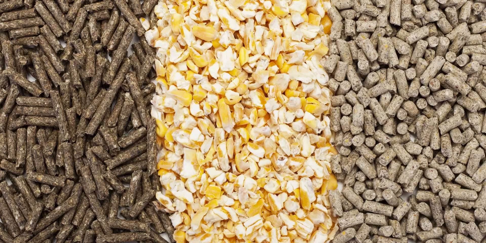 Creep Feeding Calves The Ultimate Guide