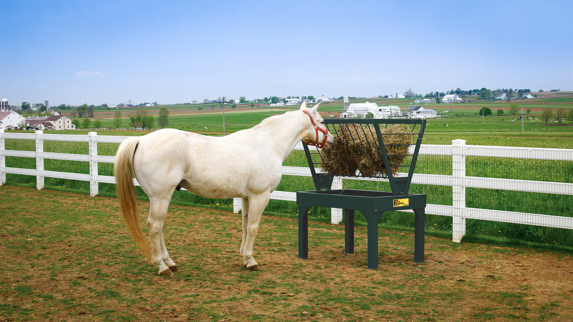 exterior photo of horse and hay for why do horses pee on their hay