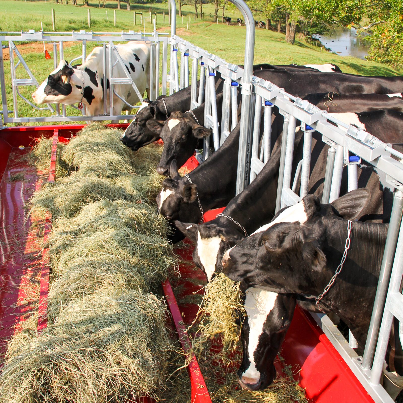 No Waste Hay Feeders for Cattle - Farmco Manufacturing
