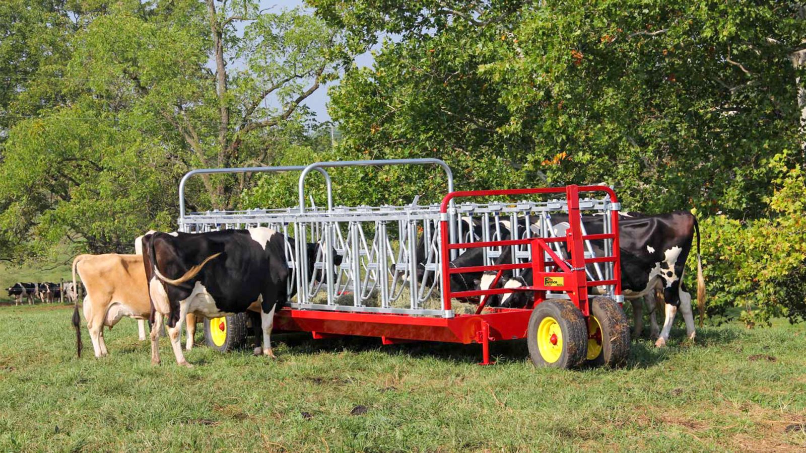 a large grey and red feeder as example of best way to feed hay to cattle